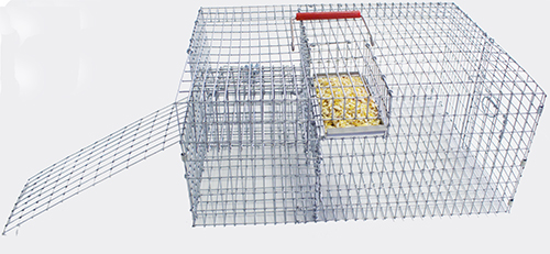 PMCA Repeating Bait Trap - PMCA Martin Market Place