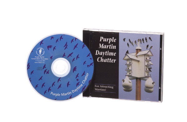 Purple Martin Daytime Chatter CD