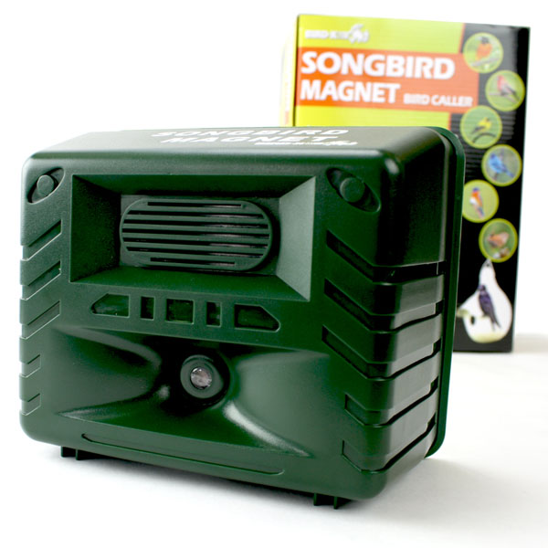 Songbird Magnet